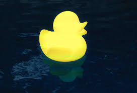 Led Ducky Floating Light - LINERS